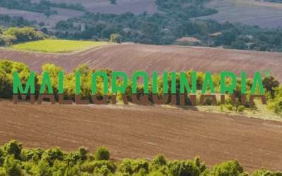 Cómo elegir la maquinaria agrícola adecuada puede ahorrar costes y aumentar la productividad