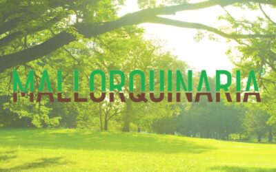 Cómo cuidar un jardín en casa: trucos prácticos para mantenerlo siempre verde