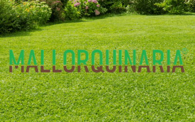 Desbrozadoras de ruedas: el aliado olvidado para jardines grandes y terrenos difíciles