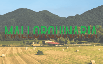 Qué hacer en tu finca en diciembre: cómo entender, cuidar y preparar el terreno para el invierno