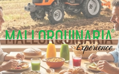 Maquinaria agrícola y de jardinería: claves para trabajar con más eficiencia y menos averías