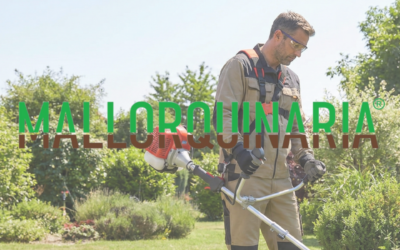 Menos trastos, más soluciones: cómo simplificar el mantenimiento del jardín