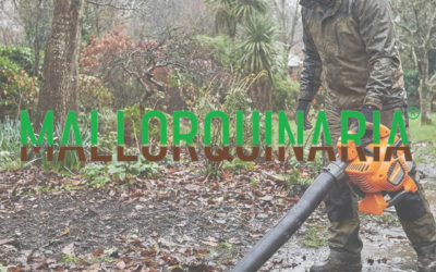 Cómo recuperar el jardín después de varios días de lluvia