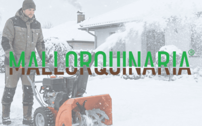 Cómo afecta la nieve al césped y cómo  ayudarle a recuperarse