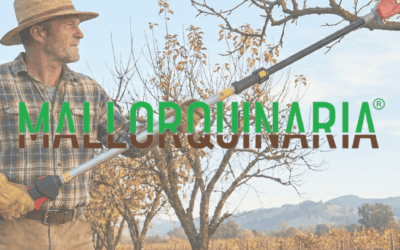 La poda de invierno y la correcta gestión de los restos vegetales