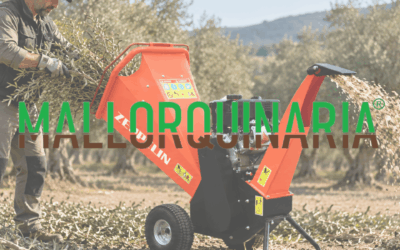 Cómo preparar el olivar para el invierno: tareas que no debes olvidar